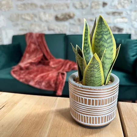 Petit Coin Cosy Derrière La Gare * Angoulême